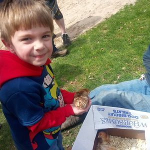 Meet your Posher, Allison